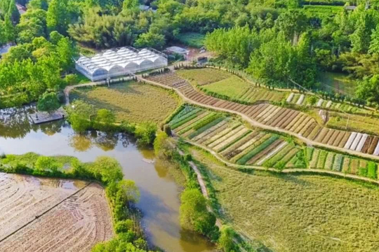 Từng niêm yết công ty triệu đô, cựu giám đốc công nghệ giờ sống ẩn mình giữa núi rừng hơn 133.000m²