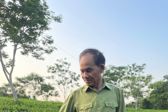 Nông dân gánh chè, thả cá, nuôi gà: Cựu chiến binh ở Tuyên Quang kể về câu chuyện làm giàu trên đất cũ, ai cũng phải kính nể