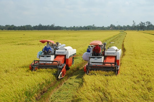 Lương thực A An được chấp thuận trở thành công ty đại chúng