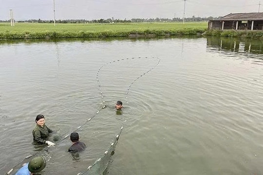 Lúa kém hiệu quả, nông dân Thanh Hóa chuyển sang làm giàu bằng nhiều mô hình độc đáo mới, thu nhập mỗi năm toàn vài trăm triệu trở lên