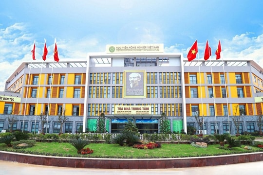 Ngành học chỉ cần 16 điểm, mức lương lên tới 200 triệu/tháng: Đầu ra vững vàng, doanh nghiệp săn đón