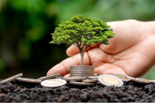 6 doanh nghiệp sắp chốt quyền trả cổ tức, cao nhất lên tới 20%