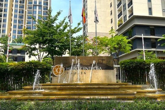 Cổ phiếu tiêu điểm hôm nay 4/8: HDG, CII, MSH