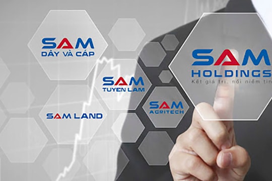 Một công ty chứng khoán muốn gom thêm 5 triệu cổ phiếu có lịch sử lâu đời nhất sàn chứng khoán Việt Nam