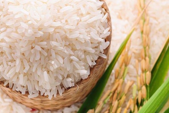 Giá lúa gạo hôm nay 5/8: OM 5451 giảm giá mạnh, Việt Nam vẫn là “vua” xuất khẩu gạo thế giới