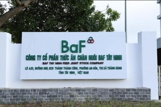 Tín hiệu cổ phiếu hôm nay: Triển vọng BAF sáng trong trung-dài hạn