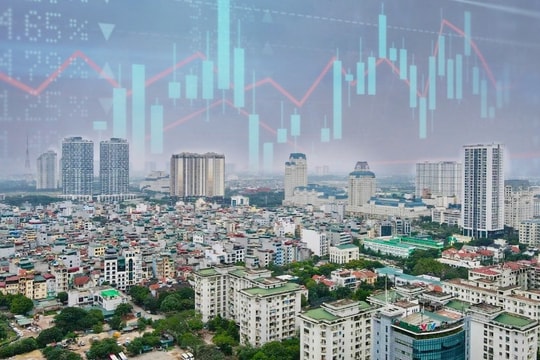 Nhà đầu tư quan tâm “cổ đất” cần hết sức chú ý cảnh báo này