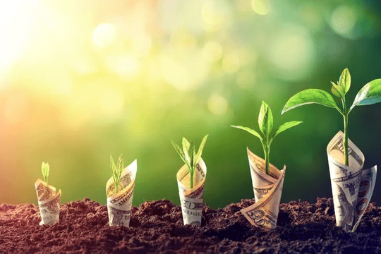 Thêm 7 doanh nghiệp chốt quyền trả cổ tức tiền mặt trong tháng 8: TOT trả tới 20%