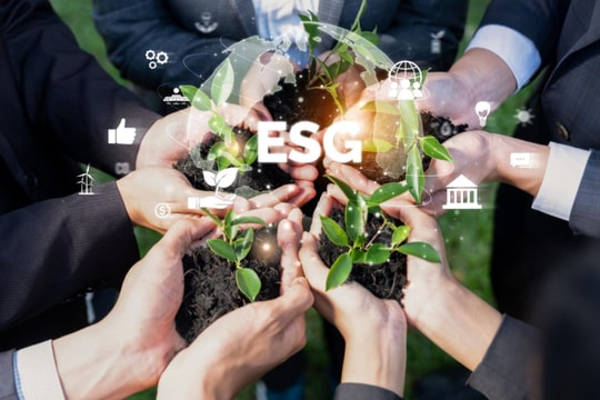 Cổ phiếu một ngân hàng lọt Top 20 cổ phiếu phát triển bền vững nhất Việt Nam