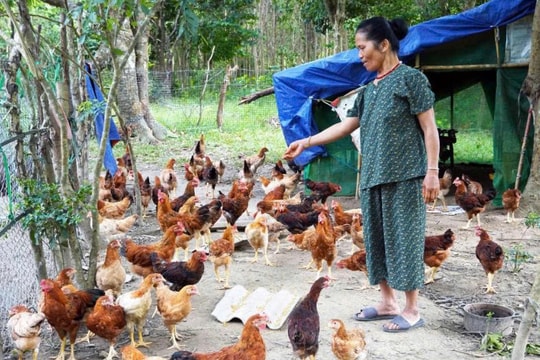 Người nông dân Quảng Trị là tấm gương sáng trong học tập, lao động và vượt khó làm giàu