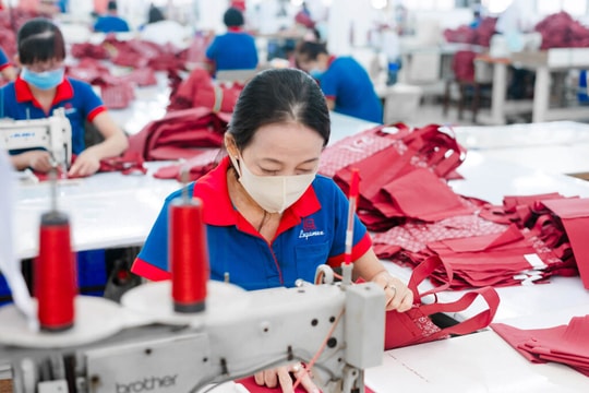 Một doanh nghiệp từng là biểu tượng dệt may Sài Gòn bị hủy tư cách công ty đại chúng