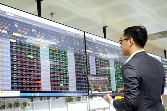 Ủy ban Chứng khoán Nhà nước tăng cường công tác giám sát, thanh tra, kiểm tra, xử lý nghiêm các vi phạm trên TTCK
