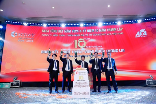 Một kiểm toán viên của Ecovis AFA Việt Nam bị loại khỏi danh sách chấp thuận năm 2025