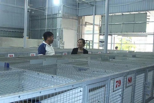 Nông dân Thanh Hóa đi nuôi "báu vật rừng", thu gần 1 tỷ đồng/năm, khách mua phải đặt trước mới có