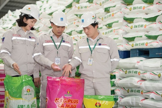 Diễn biến cổ phiếu và triển vọng đầu tư ngành hóa chất, phân bón