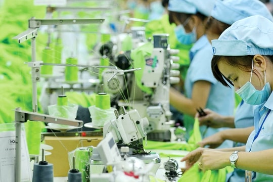 Hủy tư cách công ty đại chúng doanh nghiệp dệt may lâu đời tọa lạc tại "đất vàng" Trường Chinh