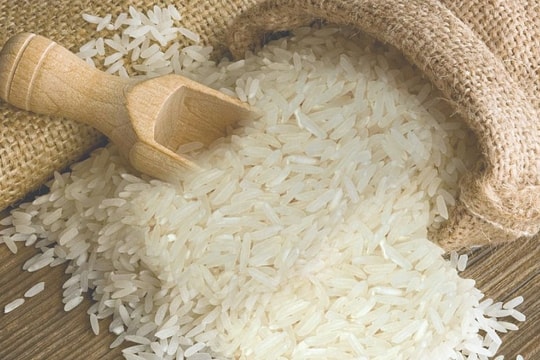 Giá lúa gạo hôm nay 11/8: Nguồn cung cuối vụ khan hiếm, giá neo cao