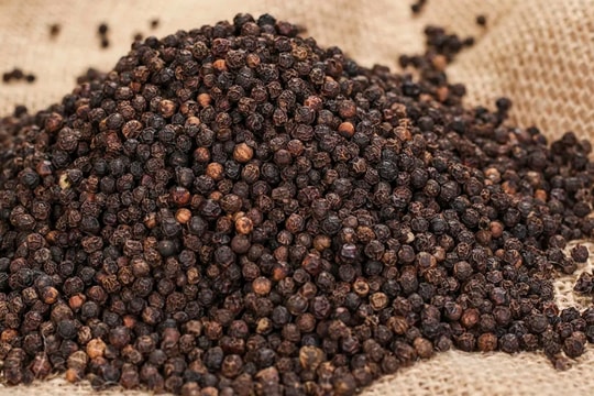 Cập nhật giá tiêu hôm nay 19/10: Chững lại sau chuỗi tăng đầu tháng