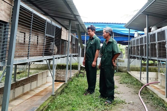 Nông dân Vĩnh Long giàu to từ loài vật nuôi giá hàng chục triệu đồng