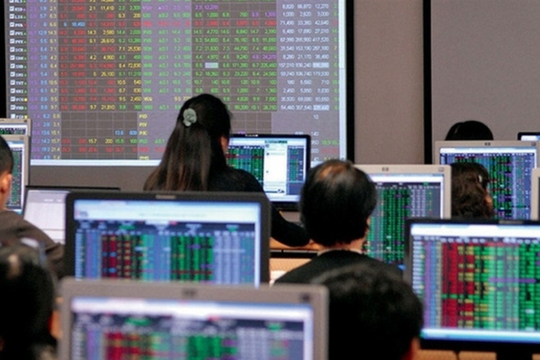 Vững ngôi vương tự doanh, SSI đang phân bổ danh mục như thế nào?