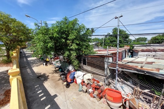 Đà Nẵng chi 71 tỷ xây công viên, kêu gọi đầu tư nhà ở xã hội cao 31 tầng