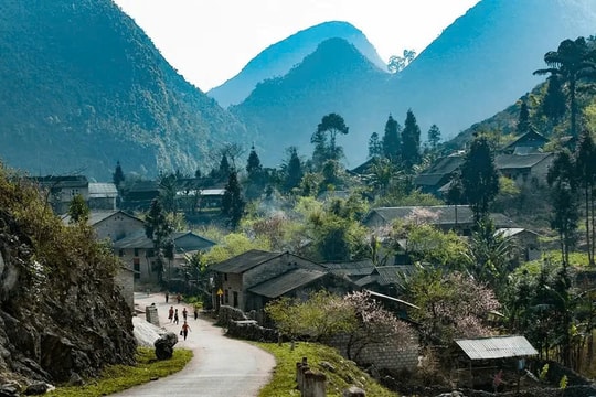 Thung lũng được ví như “nàng thơ” miền cực Bắc: Đá cũng nở hoa, rực rỡ sắc tam giác mạch ở Sủng Là