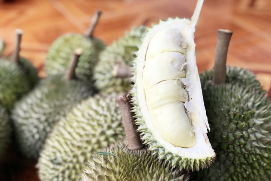 Giá sầu riêng hôm nay 13/8: Tây Nguyên “lên ngôi” với sầu Thái loại đẹp giá cao nhất cả nước