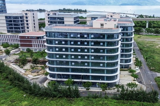 Hàng loạt "đại bàng làng công nghệ" thế giới khảo sát đặt cứ điểm tại thành phố đáng sống nhất Việt Nam