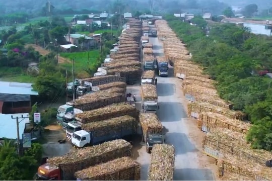 Khám phá “kho hàng” hơn 2.500 tỷ đồng của Đường Quảng Ngãi