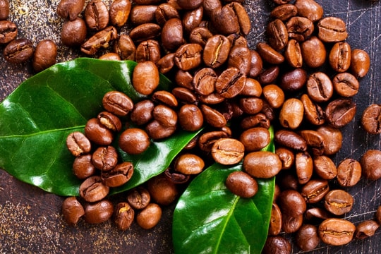 Cập nhật giá cà phê hôm nay 14/8: Tăng mạnh, Đắk Lắk chạm mốc kỷ lục