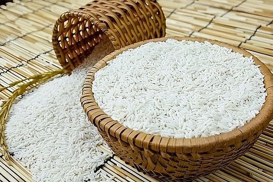 Giá lúa gạo hôm nay 15/8: Thị trường ổn định, xuất khẩu chịu “cú sốc” từ Philippines