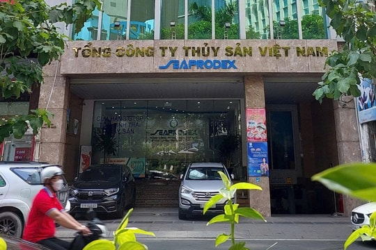 Âm nặng dòng tiền kinh doanh, doanh nghiệp thủy sản lâu năm đứng trước nguy cơ xáo trộn mạnh cơ cấu sở hữu