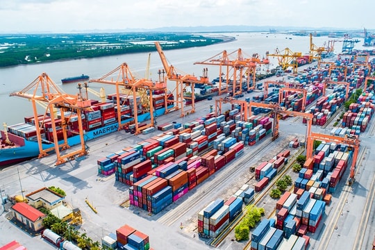 Doanh nghiệp cảng và vận tải biển vượt ‘bão thuế quan’ hái quả ngọt