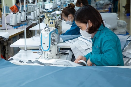 Sa sút sau cú sốc từ Amazon, doanh nghiệp dệt may vừa nhen nhóm hi vọng trở lại đã bị HOSE nhắc nhở liên tiếp