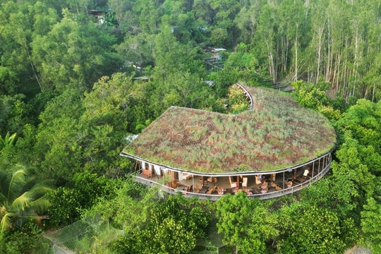 Kỹ sư Việt khởi nghiệp độc đáo với khu nghỉ dưỡng mô hình Net Zero đầu tiên tại Việt Nam
