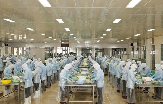 Tín hiệu cổ phiếu hôm nay: ABT đồng thuận, canh nhịp tích lũy an toàn