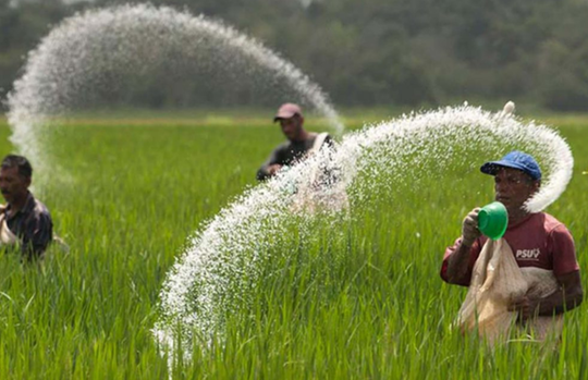 Điều gì làm nên “mùa vàng” cho ngành phân bón?