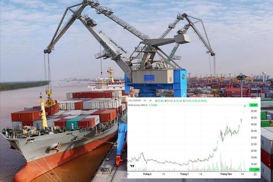 Viconship: Lợi nhuận đạt đỉnh và cú ‘bẻ lái’ giữa thách thức thuế quan