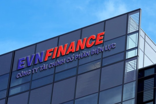 Sau kết luận thanh tra, Tổng giám đốc và Phó chủ tịch HĐQT EVN Finance nộp đơn từ nhiệm