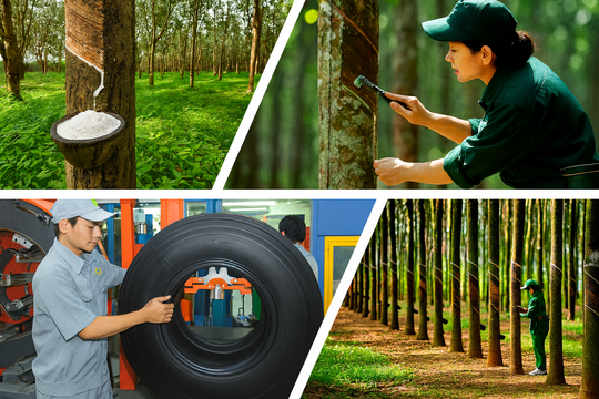 Bức tranh trái chiều ngành cao su: Doanh thu đồng loạt tăng, lợi nhuận lại phân hóa mạnh