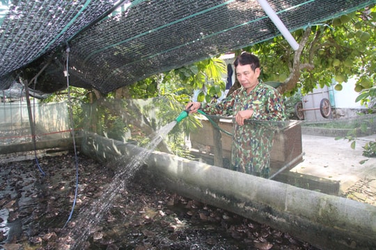 Câu chuyện làm giàu của người nông dân Hưng Yên, biến thứ "trơn tuột" thành nguồn thu hàng trăm triệu đồng
