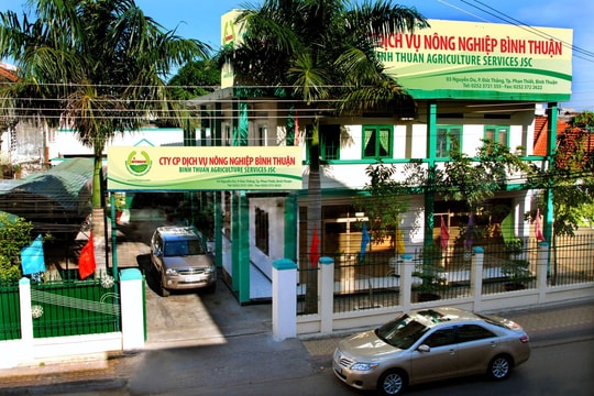 Doanh nghiệp phân bón có tiếng ở Bình Thuận bị kiểm toán đưa ra ý kiến ngoại trừ, tiền mặt còn vỏn vẹn 140 triệu đồng