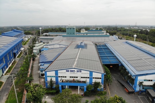 Cựu thành viên Louis Holdings bay sạch lợi nhuận sau soát xét, cổ phiếu vẫn leo đỉnh 3 năm