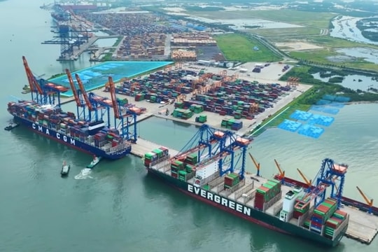 Chiến lược ‘gặt lãi’ ngàn tỷ giữa thách thức thuế quan của đại gia cảng biển Việt