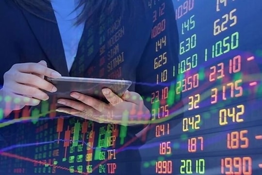 Điểm đáng chú ý của hai rổ chỉ số mới VN50 Growth và VNMITECH