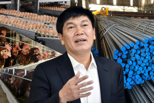 Không chỉ giỏi nuôi gà, Hòa Phát còn khéo chăn cả một loại gia súc cực kinh tế