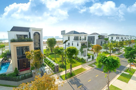 Công ty con của Novaland nhận án phạt, bất ngờ với khoản nợ vừa dứt với Thép SMC