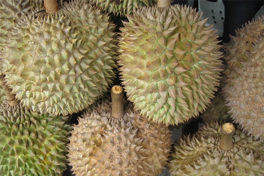 Giá sầu riêng hôm nay 20/8: Tăng mạnh tại nhiều nơi, riêng RI6 mua xô giảm giá