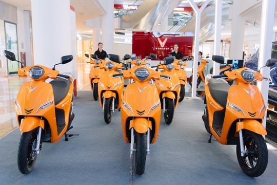 Người Việt mua xe máy điện nhiều thứ 3 thế giới