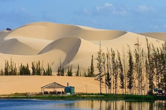 Một ốc đảo kỳ lạ giữa đồi cát mênh mông, được ví như “Sahara Việt Nam” ngay tại Bình Thuận